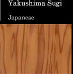 Yakushima Sugi Japanese