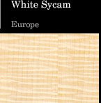 White Sycam Europe