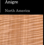 Anigre North America