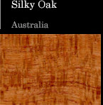 Silky Oak Australia