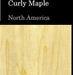 Curly Maple North America