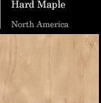 Hard Maple North America