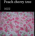 Peach cherry tree 1622