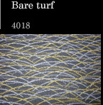 Bare turf 4018