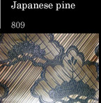 Japanese pine 809